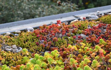 the cost of Ranmoor green roof installation