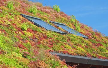 Ranmoor living roof systems